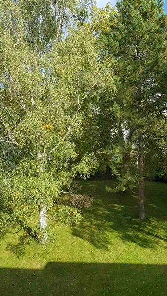 2-Zimmer-Single- Wohnung möbliert — photo 1